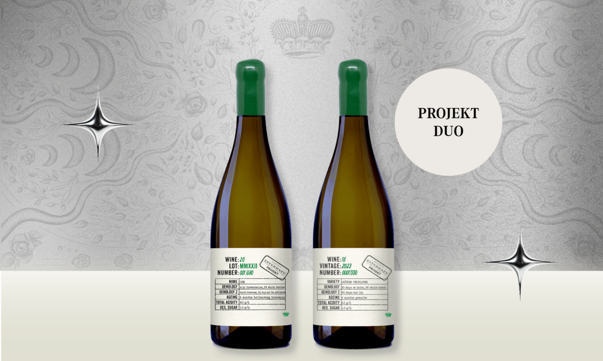 Xmas Geschenkpaket Projekt Duo