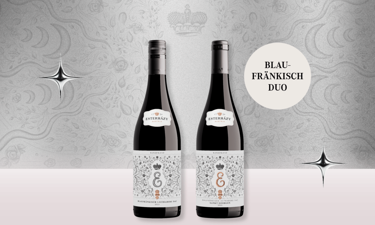 Xmas Geschenkpaket Blaufränkisch Duo