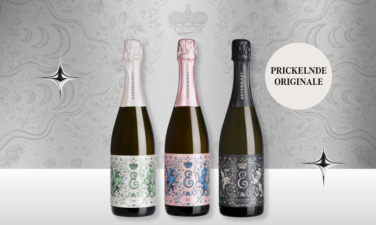 Xmas Geschenkpaket Prickelnde Originale