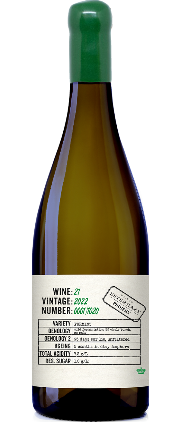 2022 Nr. 21 - Furmint