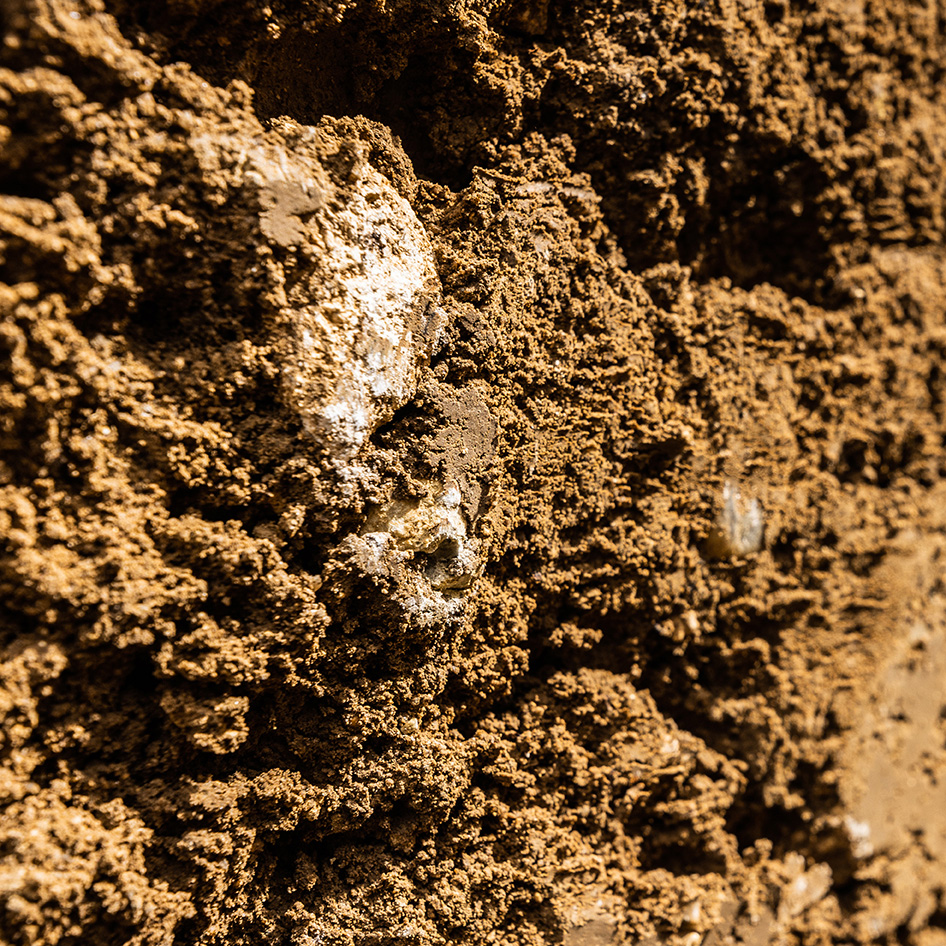 Detailaufnahme der Riede Schneiderteil