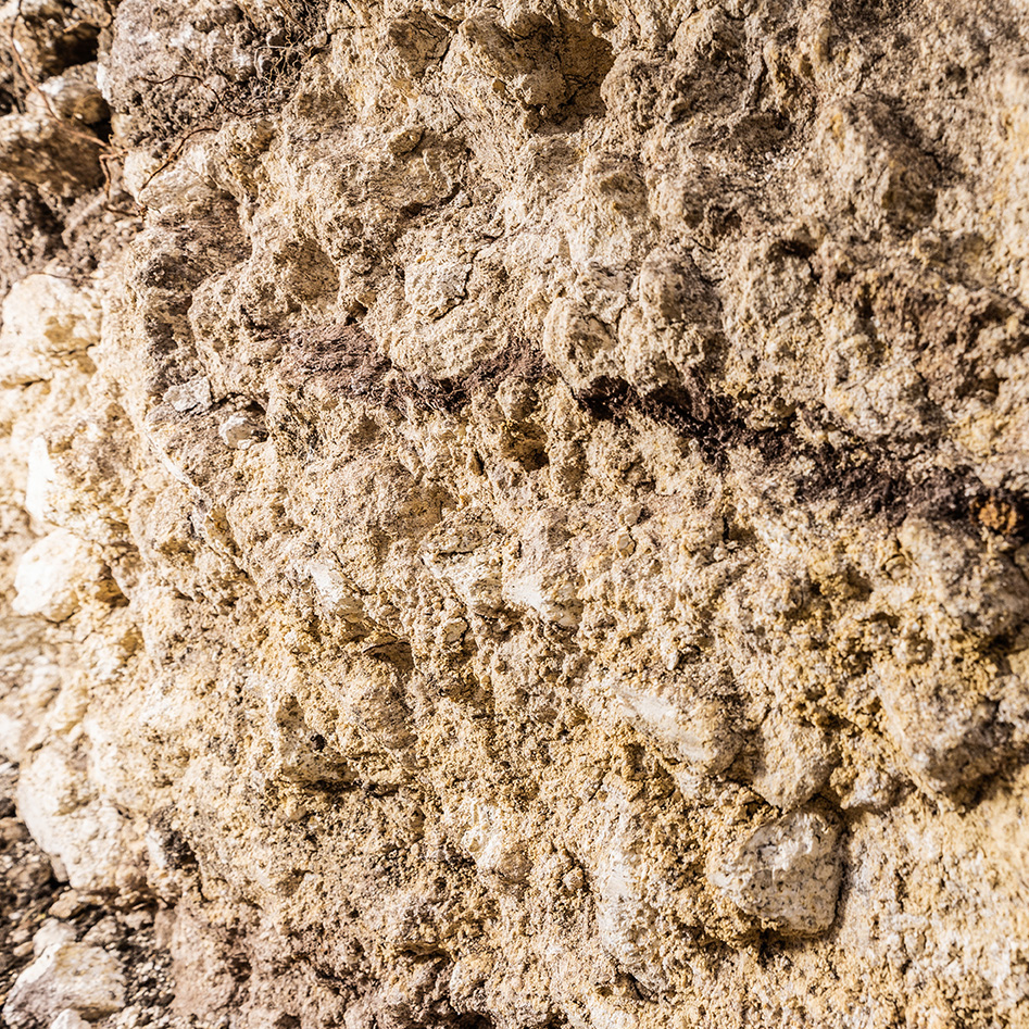 Detailaufnahme der Riede Pirichen in Oslip