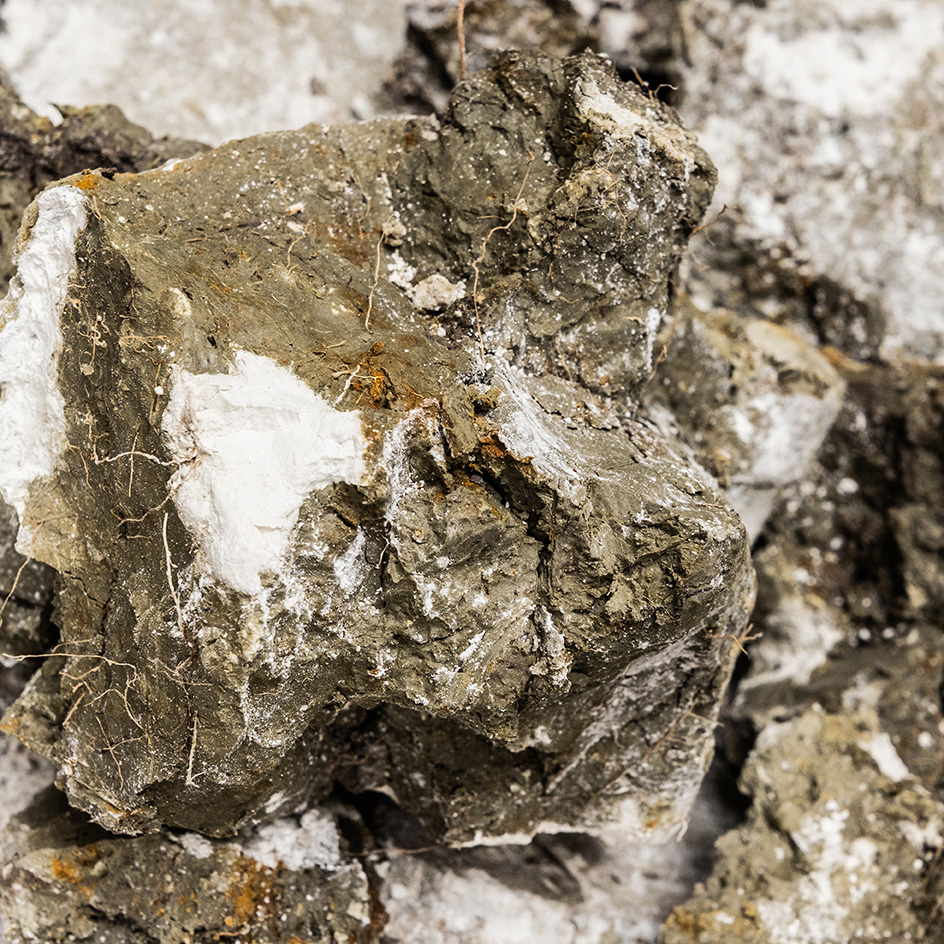 Detailaufnahme der Riede Herrschaftsbreite in Großhöflein