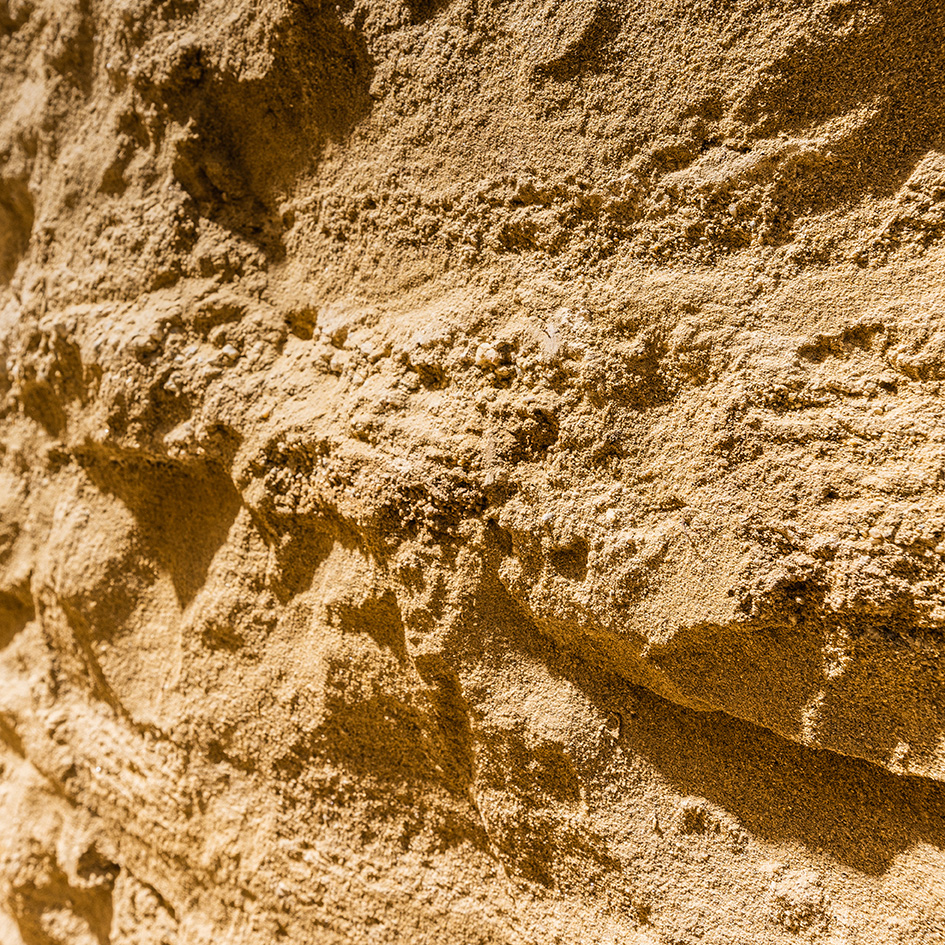 Detailaufnahme der Riede Bandkräftn in Rust