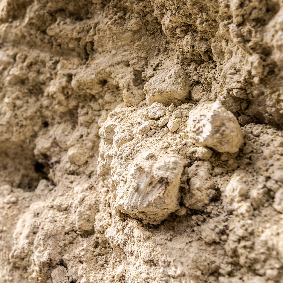 Detailaufnahme der Riede Oberer Wald in Rust