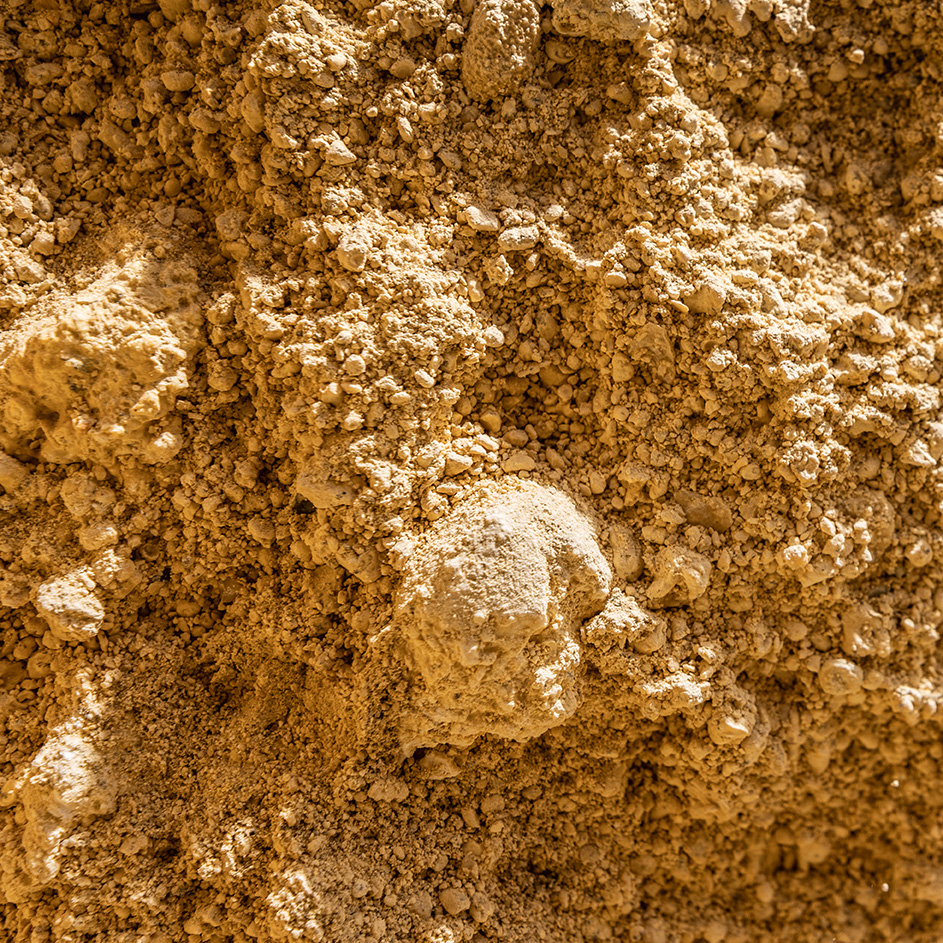 Detailaufnahme der Riede Geisrücken in Sankt Margarethen