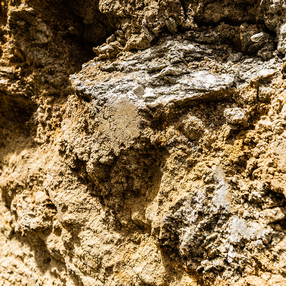 Detailaufnahme der Riede Kogl in Sankt Margarethen