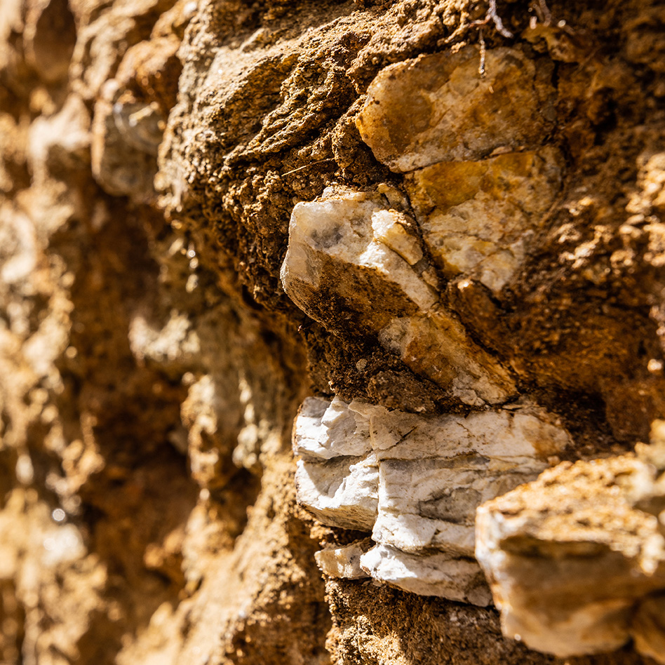 Detailaufnahme der Riede Lamer in Sankt Margarethen