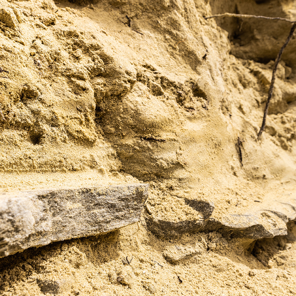 Detailaufnahme der Riede Schildten in Sankt Georgen