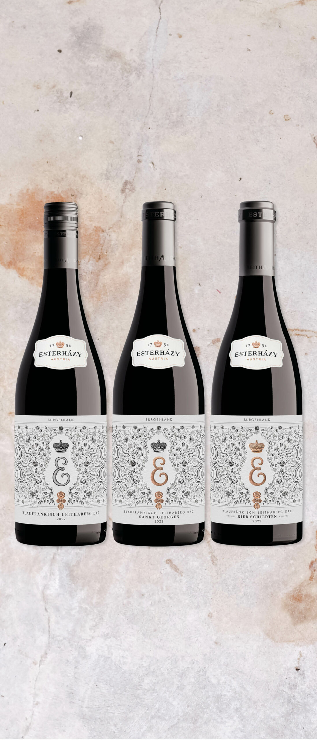 NEW 3er Paket Blaufränkisch Pyramide