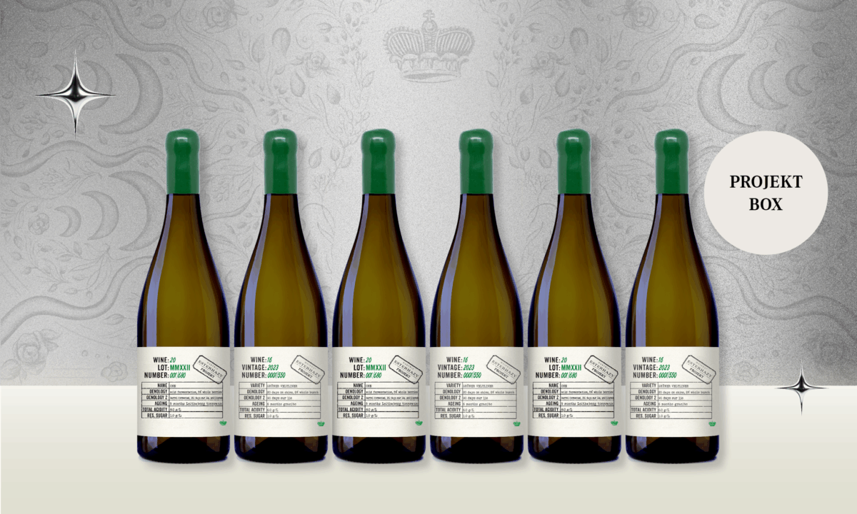 Xmas Geschenkpaket Grüner Veltliner Projekt Box