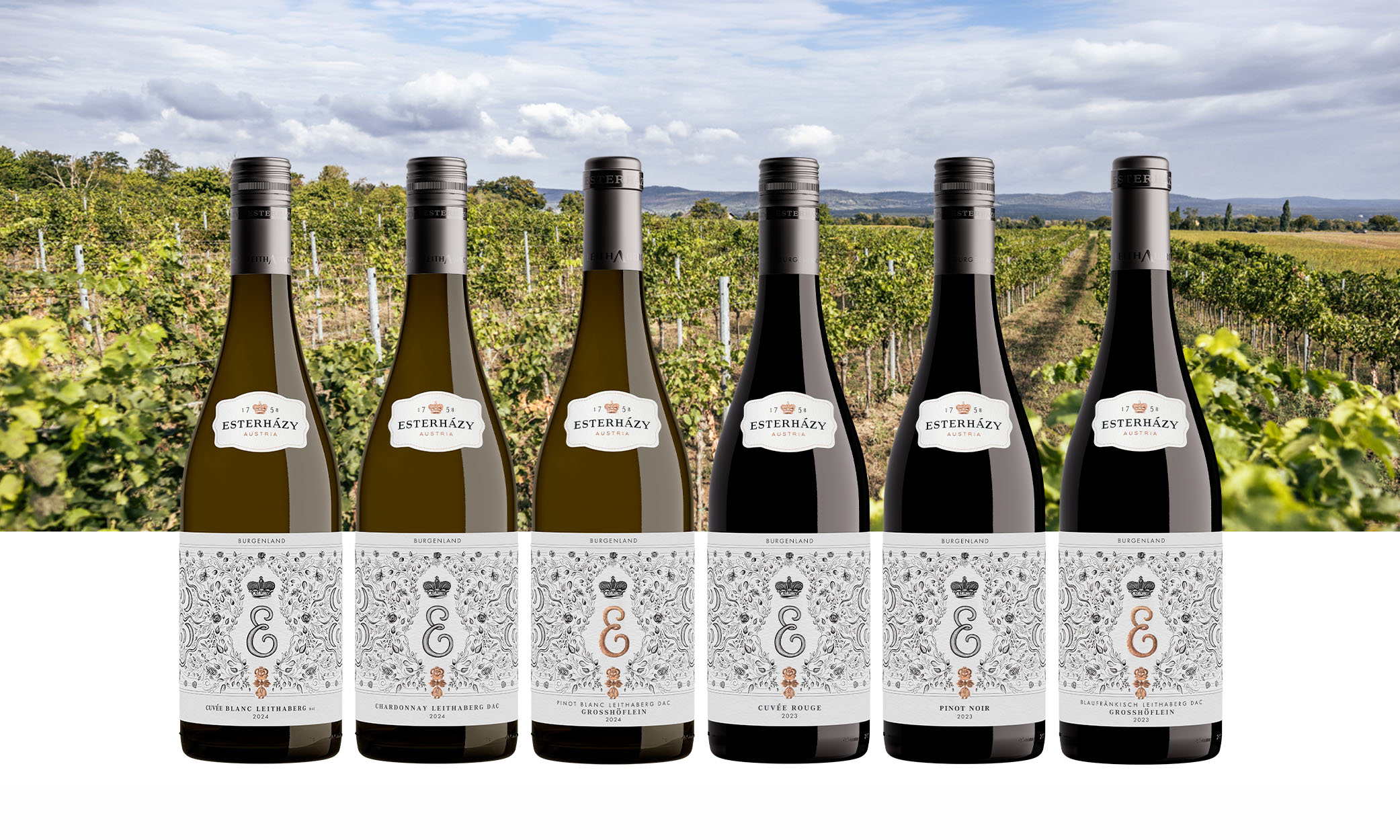 Produktbild 2024 Grüner Veltliner