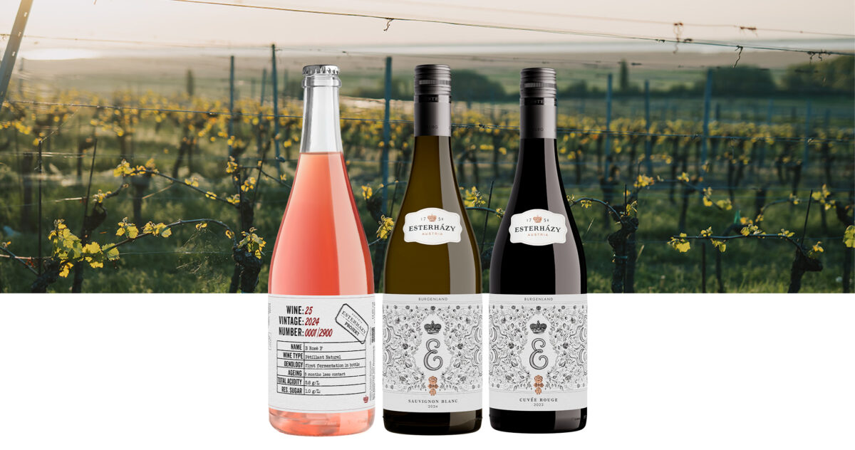 NEW yesss! Geburtstags-Special (–21 %)