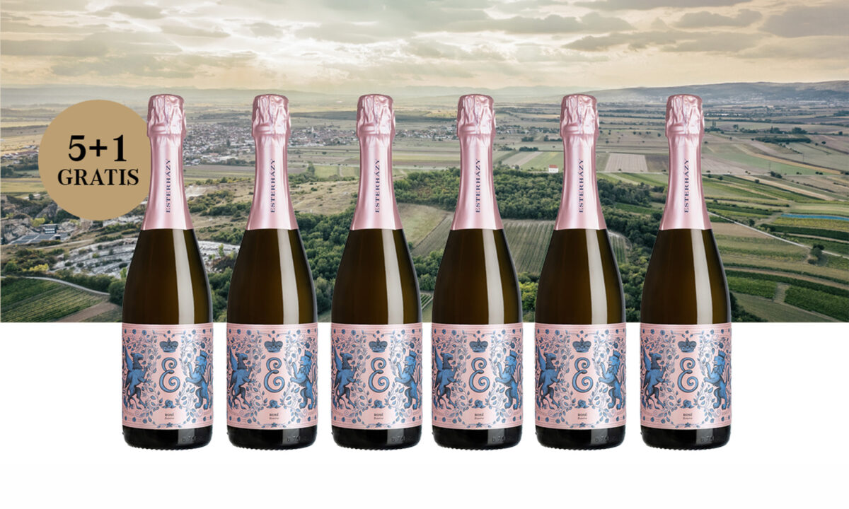 NEW Weinpaket "Sekt Austria Reserve Rosé 5+1"