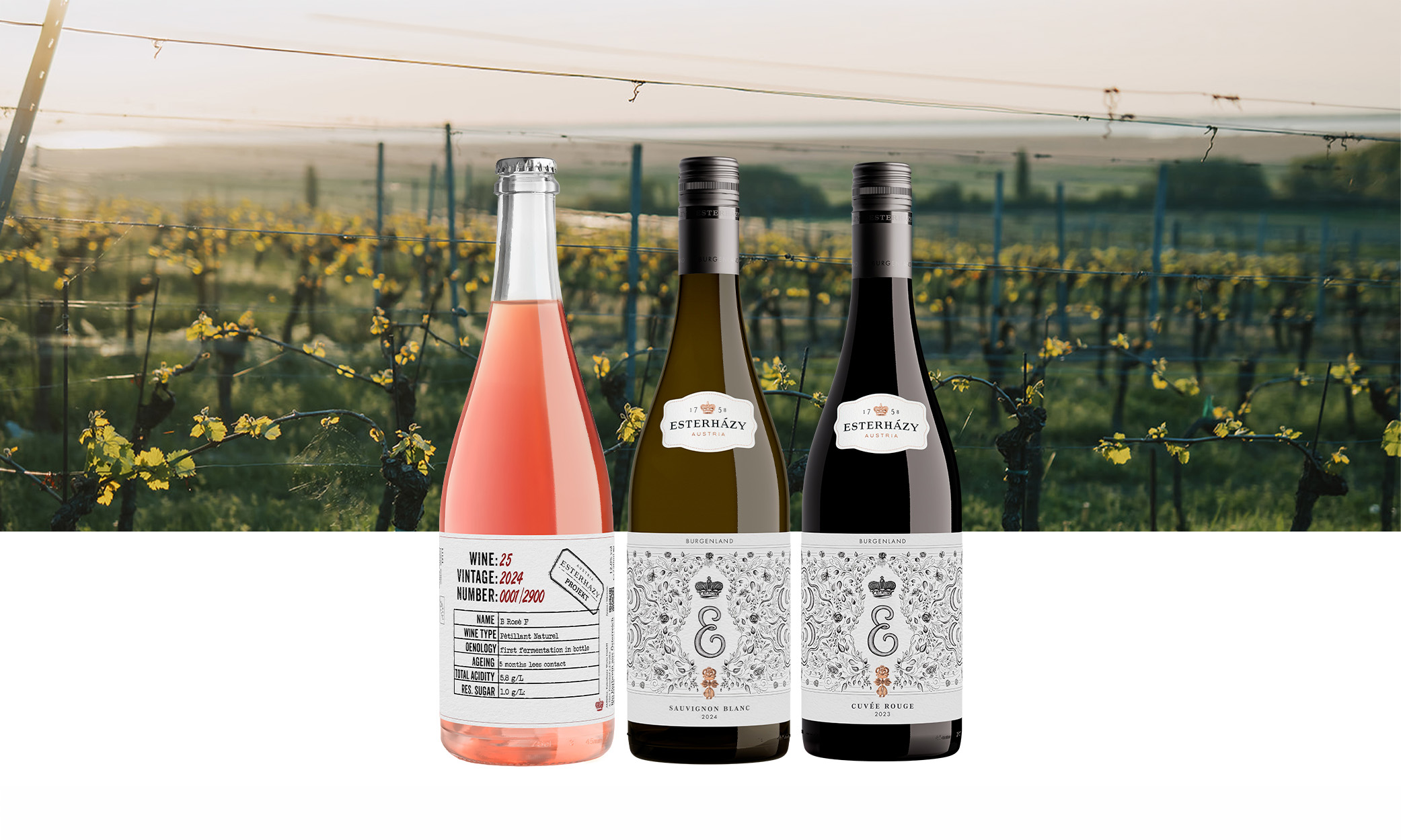 Produktbild 2024 Grüner Veltliner